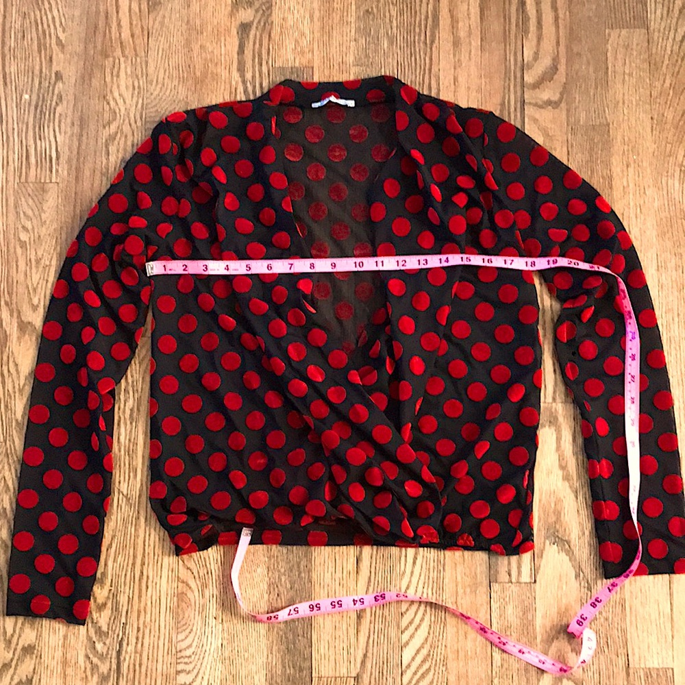 ZARA sheer blouse